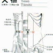 天枢(Tiānshū)穴 - 腹部穴位