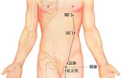 章门(Zhāngmén)穴 - 腹部穴位