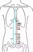 石关(Shíguān)穴 - 腹部穴位