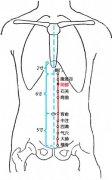 阴都(Yīndū)穴 - 腹部穴位