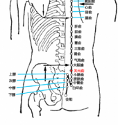 关元俞(Guānyuánshū)穴 - 腹部穴位
