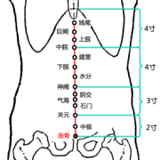 曲骨(Qūgǔ)穴 - 腹部穴位