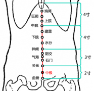 中极(Zhōngjí)穴 - 腹部穴位