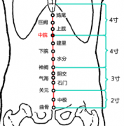 中脘(Zhōngwǎn)穴 - 腹部穴位