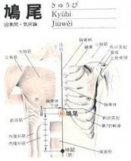 鸠尾(jiūwěi)穴 - 腹部穴位