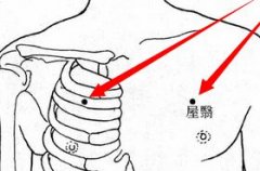 屋翳(Wūyì)穴 - 胸部穴位