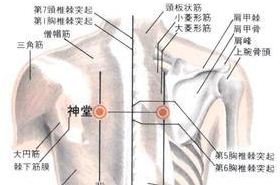 神藏(Shéncáng)穴 - 胸部穴位