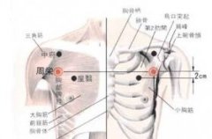 周荣(Zhōuróng)穴 - 胸部穴位