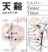 天溪(Tiānxī)穴 - 胸部穴位