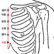 中庭(Zhōngtíng)穴 - 胸部穴位