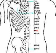 肓门(Huāngmén)穴 - 背部穴位