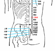 三焦俞(Sānjiāoshū)穴 - 背部穴位