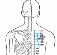 大杼(Dàzhù)穴 - 背部穴位