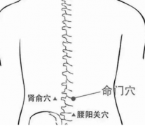 命门(Mìngmén)穴 - 背部穴位