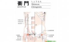 冲门(Chōngmén)穴 - 腿部穴位