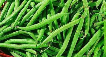 为什么吃没熟的四季豆会中毒 如何预防吃四季豆