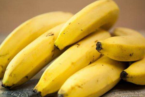 不熟的香蕉吃了反而会便秘 食用香蕉的禁忌你知