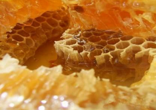 如何判断蜂胶的真假 鉴别蜂胶真伪的方法