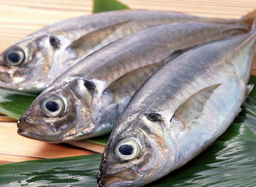 鱼的哪些部位汞含量超标 怎样吃鱼才最安全