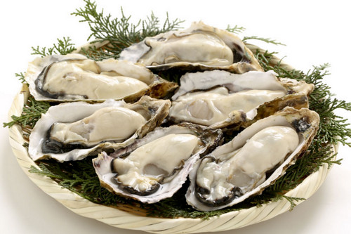 牡蛎养生保健作用与方法 牡蛎的养生配方