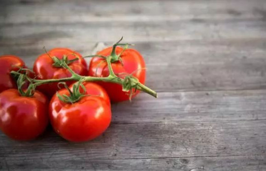西红柿的美容功效有哪些 护肤美容高手