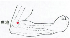 曲池(Qūchí)穴 - 手部穴位