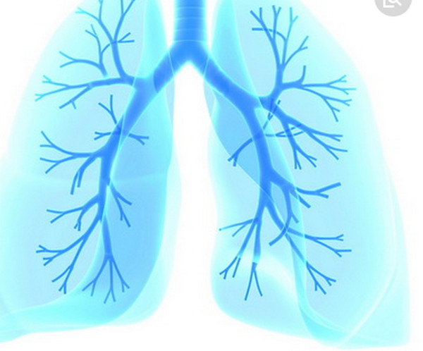 肺纤维化不能吃什么 肺纤维化能治愈吗