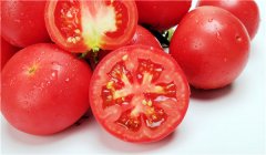 西红柿的禁忌 吃西红柿的注意事项