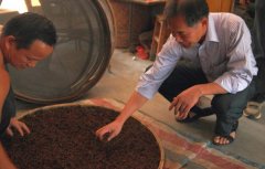 红茶的制作工艺 红茶是如何发酵的