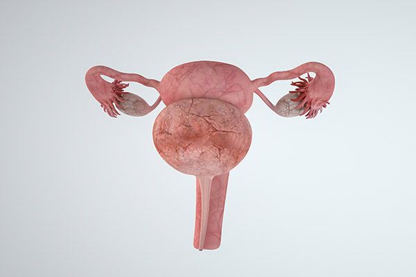 卵巢癌的早期症状 卵巢癌的初期表现