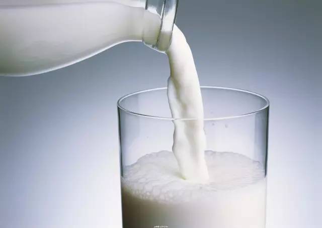 这几种牛奶并非真奶，没有营养价值