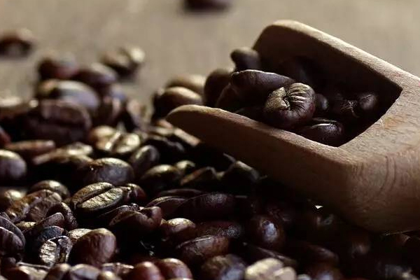 咖啡豆有哪些品种 咖啡豆哪个品种最好喝