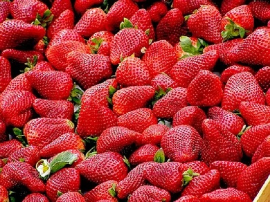 夏季适合吃的水果推荐 这些你都吃了吗