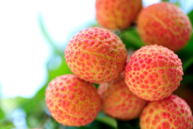 夏季最适合吃哪些食物，以最好状态迎接三伏