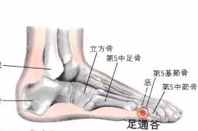 足通谷(Zútōnggǔ)穴 - 足底穴位