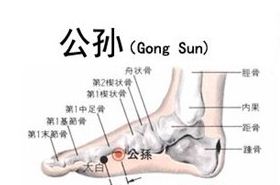 公孙(Gōngsūn)穴 - 足底穴位