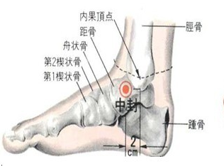 中封(Zhōngfēng)穴 - 脚部穴位