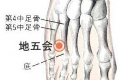 地五会(Dìwǔhuì)穴 - 脚部穴位