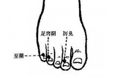 足窍阴(Zúqiàoyīn)穴 - 足底穴位