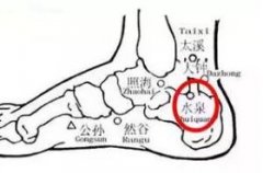 水泉(Shuǐquán)穴 - 脚部穴位
