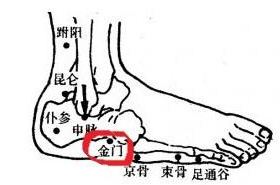 金门(Jīnmén)穴 - 脚部穴位