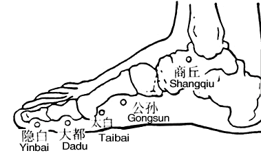 商丘(Shāngqiū)穴 - 脚部穴位