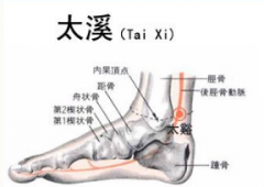 照海(Zhàohǎi)穴 - 脚部穴位