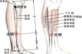 光明(Guāngmíng)穴 - 腿部穴位