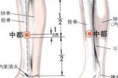 中都(Zhōngdū)穴 - 腿部穴位