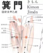 箕门(Jīmén)穴 - 腿部穴位