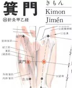 箕门(Jīmén)穴 - 腿部穴位