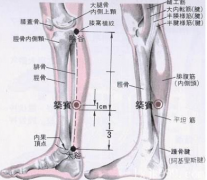 筑宾(Zhùbīn)穴 - 腿部穴位