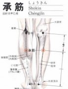 承筋(Chéngjīn)穴 - 腿部穴位