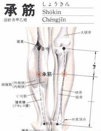 承筋(Chéngjīn)穴 - 腿部穴位